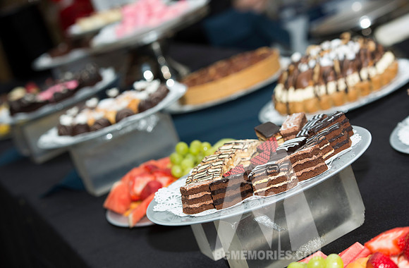 131_Gratz Gala 2017